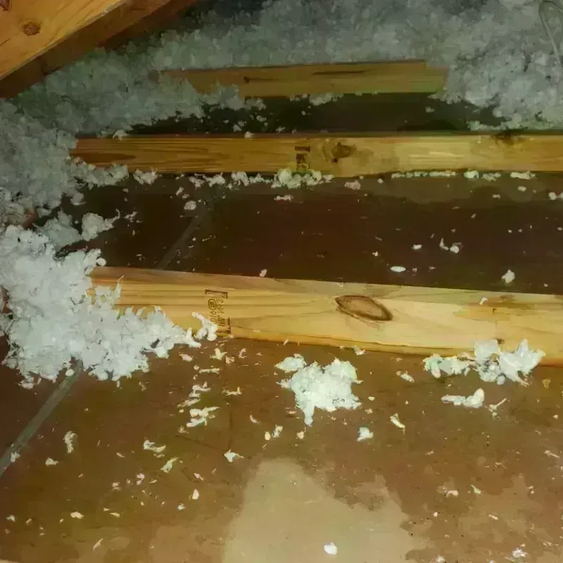 Attic Water Damage in Fairfax Station, VA